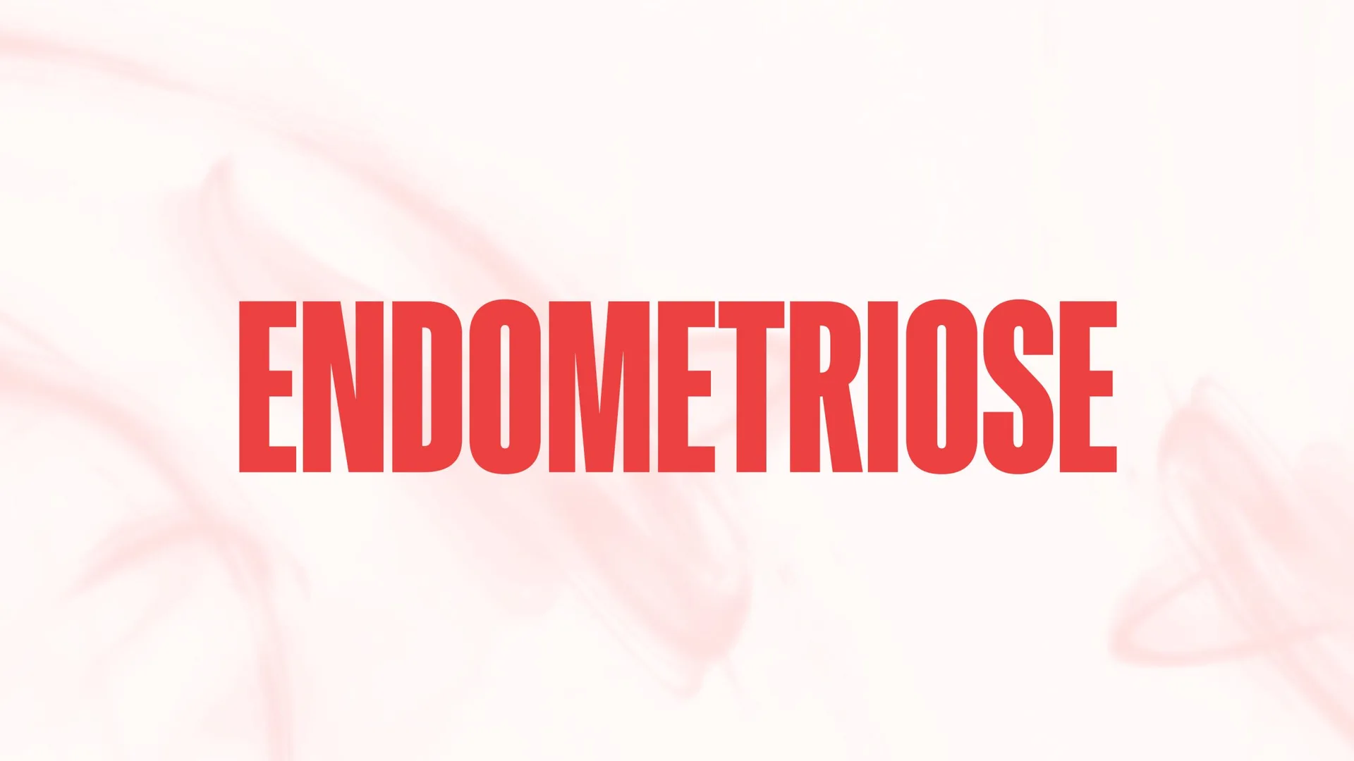 Ein Bergson Akademie-Abend über Endometriose